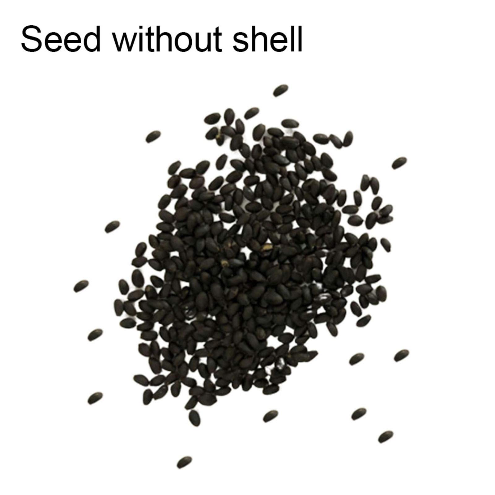 Semi Di Curry Pianta - 100 Semi Biologici Per Orto Casalingo - Foto 7