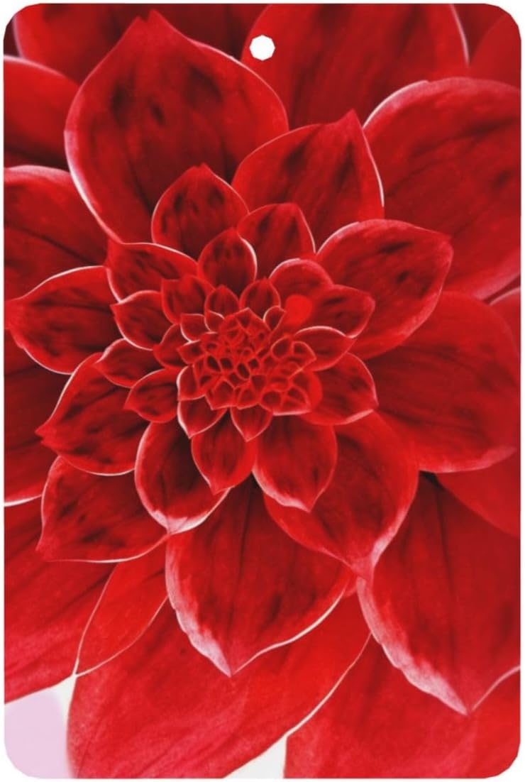 Car Air Freshener 24 PCS red flower Hanging Car Air Fresheners Auto Interior Decor Card Freshener Strong Scented Card Lavender Cars Scents for Office Bedroom Close Drawer Rectangle