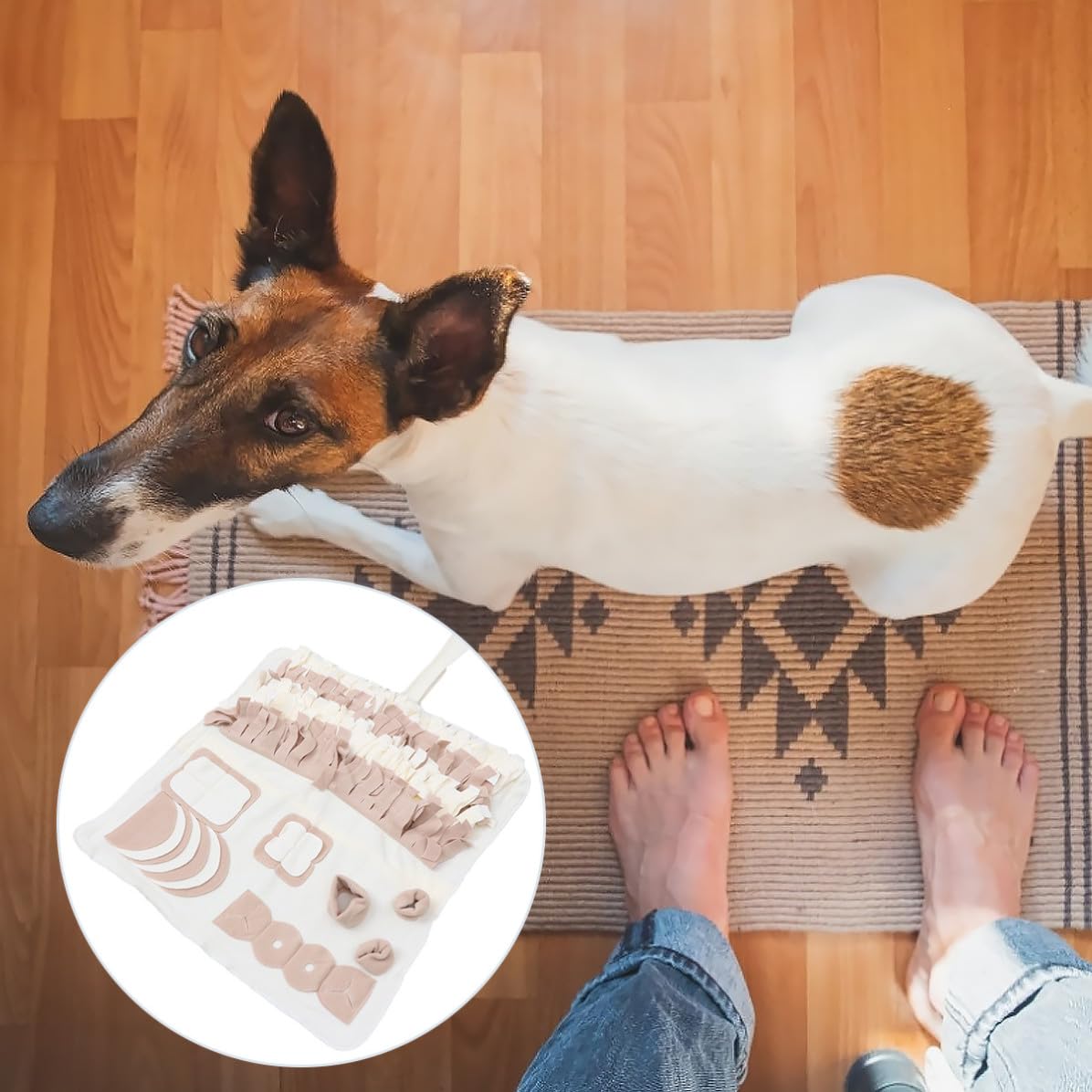 Schnüffelmatte für Hunde mit Slow Food Training, Plüsch, Beige