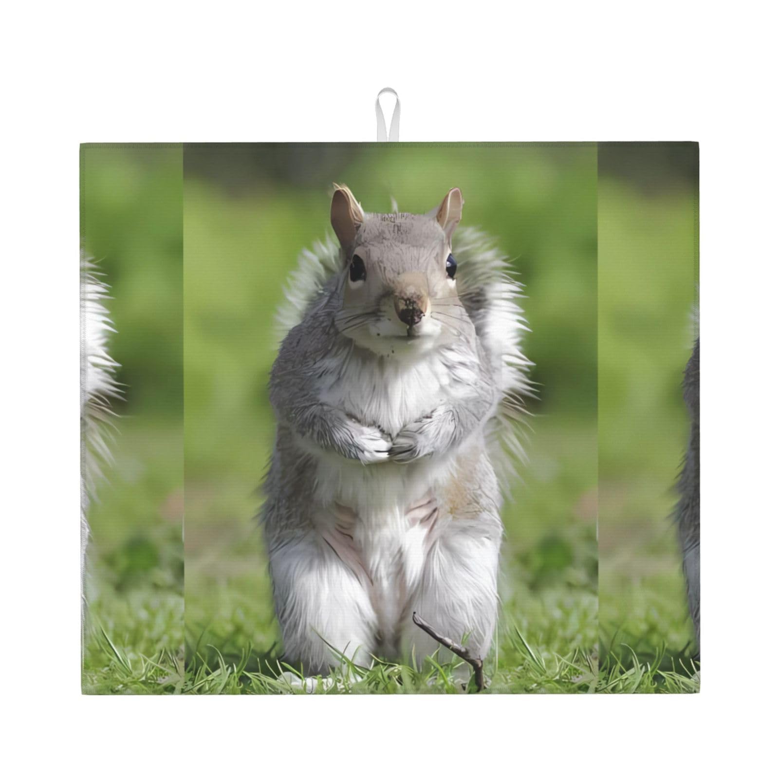 WHJSHOP Squirrel Prints Kitchen Drying Mat - Absorbent Dish Drying Throw with Vibrant Prints, Quick-Dry Countertop Layer for Dishes & Glassware - Non-Slip