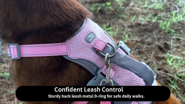 Huntboo Reflective Dog Harness with Handle, Escape Proof, No Slip,Breathable, Lightweight,Adjustable Lift Harness for Small,Medium,and Large Dogs Walking, Training,and Running Gear(Lavender Purple,XS) - image 6