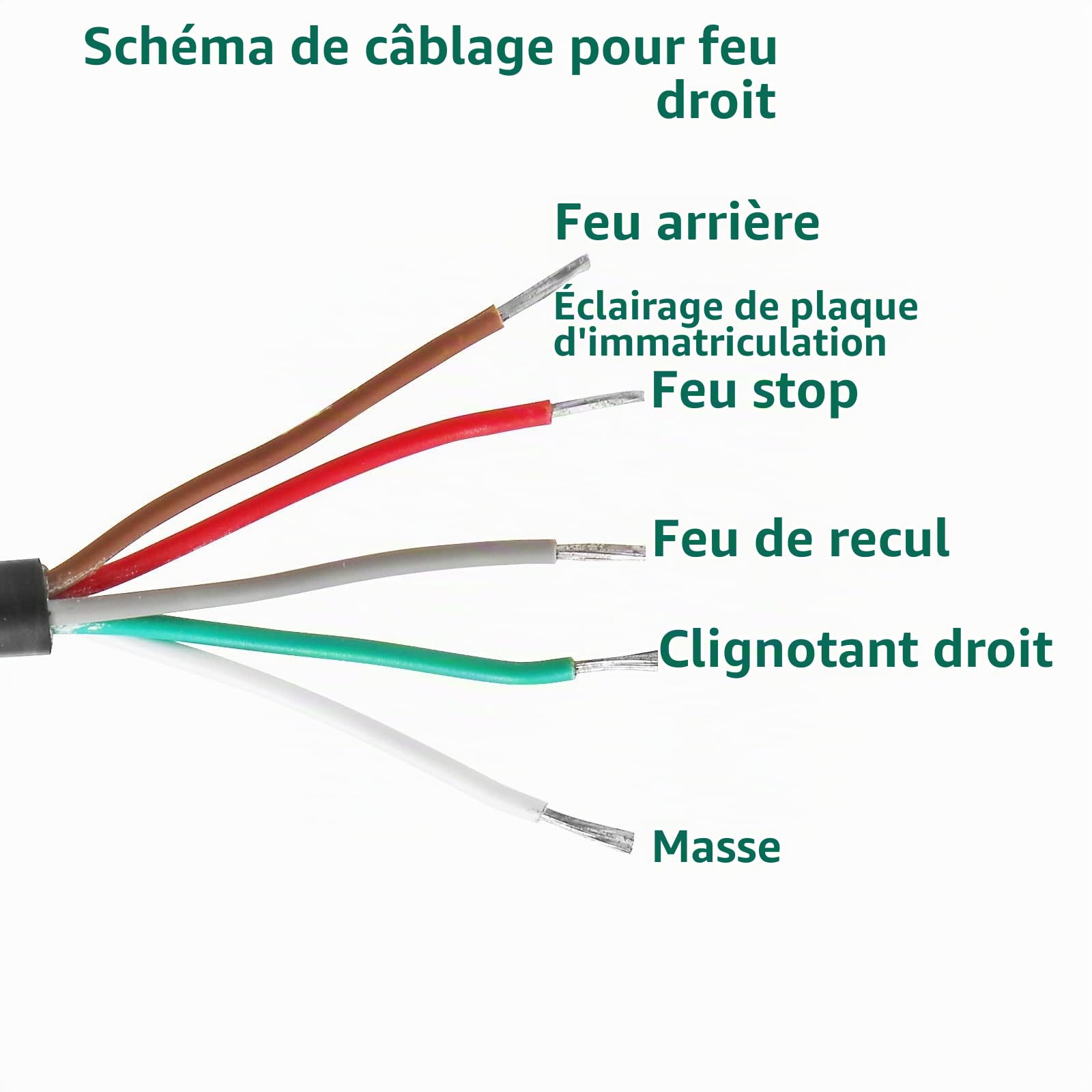Ensemble Feux Arrière Remorques 12v Homologué E4,7Fonctions 2pcs Halogènes Feu Arrière Remorque Caravane avec Éclairage Antibrouillard Recul Imperméable Etanche pour Remorque Camion