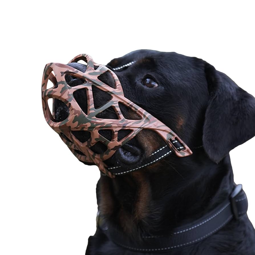 dogページ るな ページ 33444_03.jpg