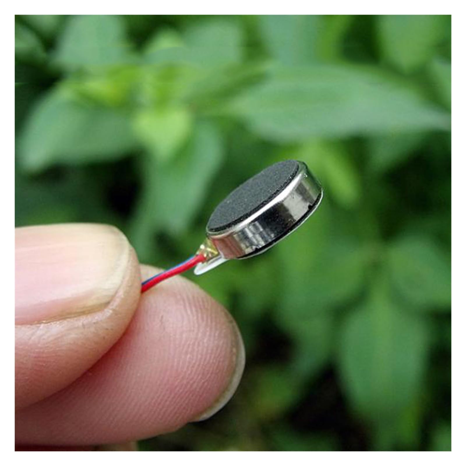 Amazon.com - DVZEBUBC 5 Pcs DC 2.5V-4V 3V 1027 Button Vibration Motor Flat  Massager Vibrator Bra Vibration Mobile Phone Accessories Parts