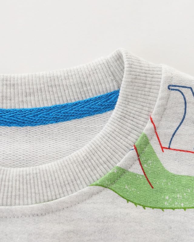 Toddler Boy Sweatshirt Dinosaur Sweater Shirts Crewneck Pullover Cotton Graphic Tops3