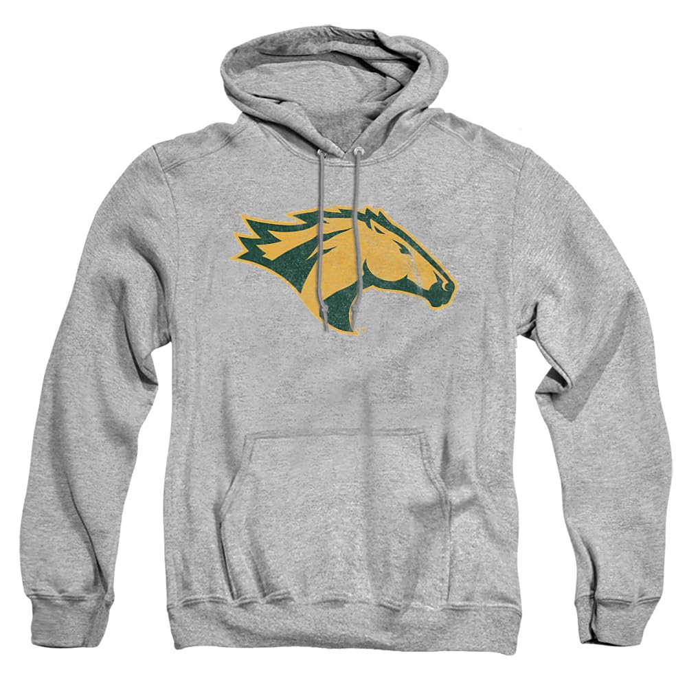 LOGOVISION Official Collegiate Distressed Primary Logo Adult Pullover Hoodie Collection — view 172