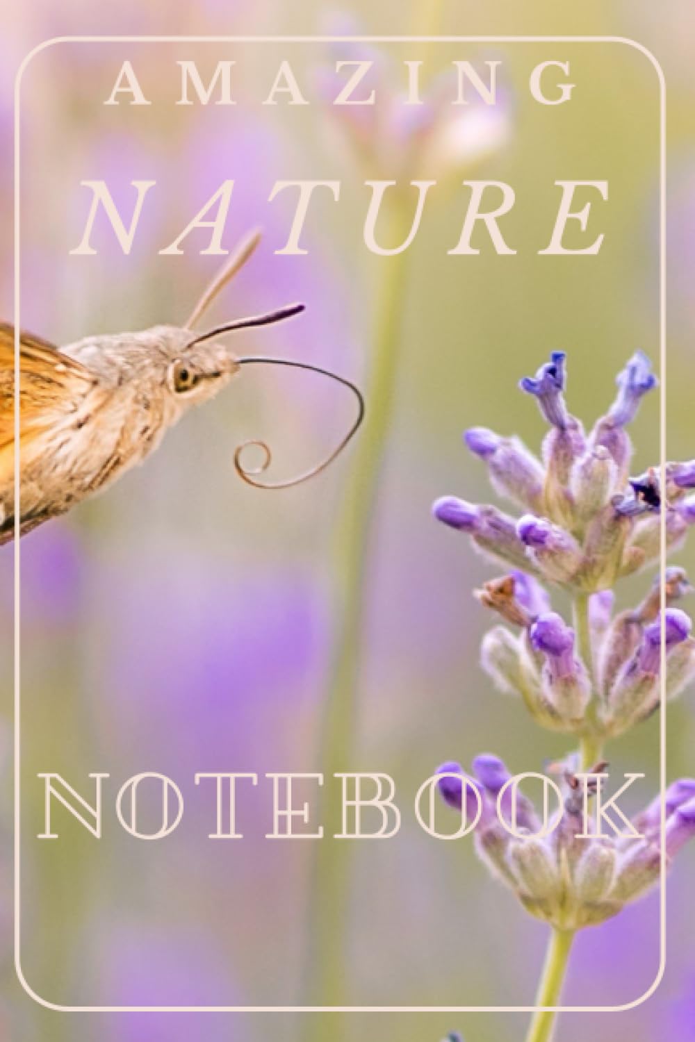 Nature notebook: Beautiful nature notebook