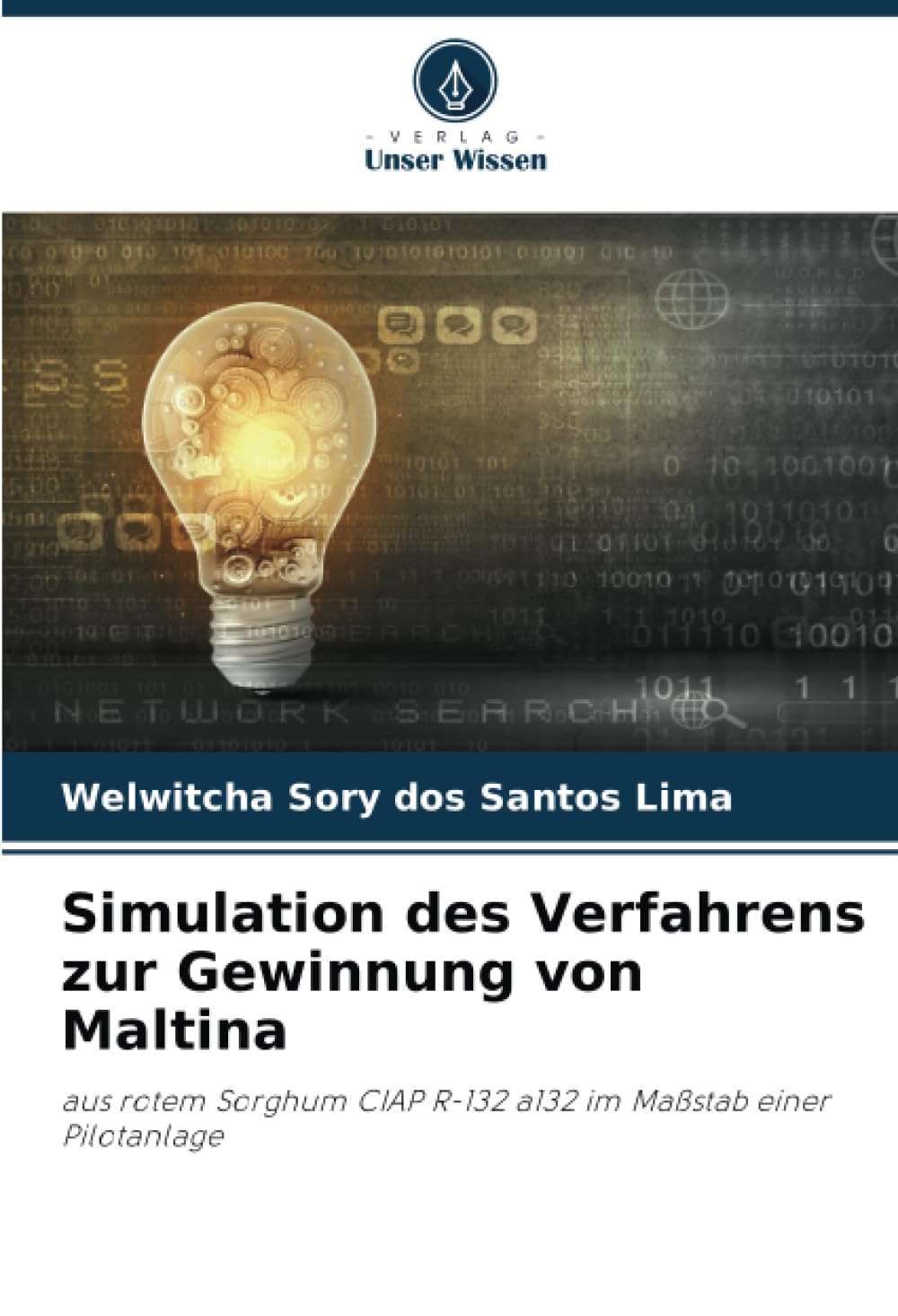 Simulation des Verfahrens zur Gewinnung von Maltina
