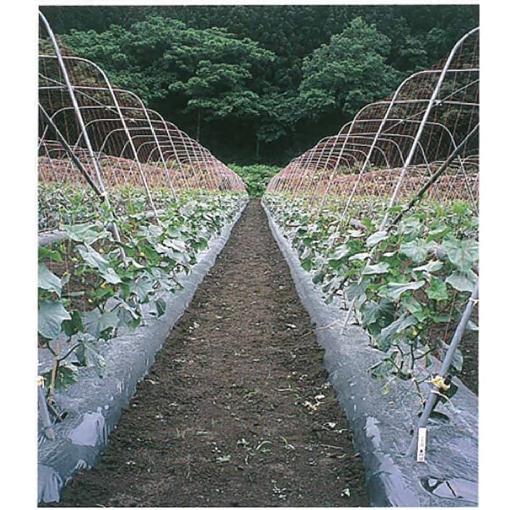 きゅうり様　専用 カインズ きゅうりネット 18cm目 1.8×50m | 支柱・ネット