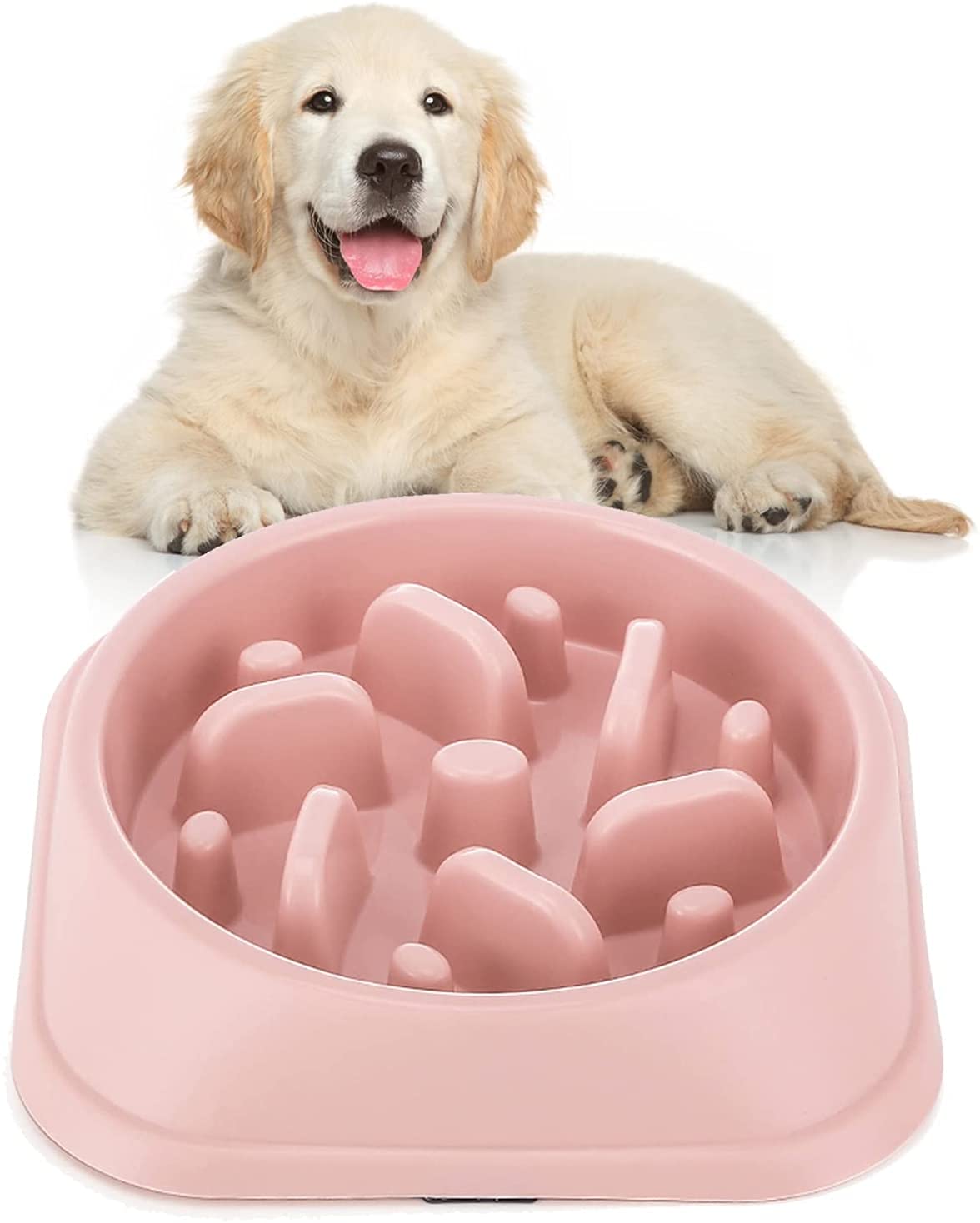 Pets Empire Slow Feeder Dog Bowl Pet Non-Spill Maze Interactive Puzzle Food Bowls for Dogs & Cats -1 Piece (Color May Vary)