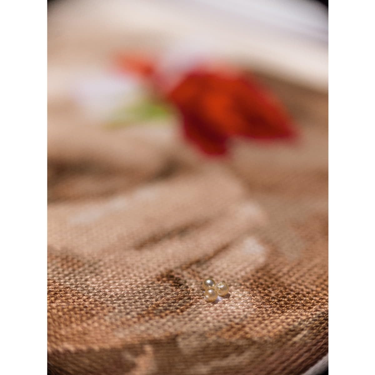 Vervaco Gezählter Kreuzstich Stickpackungen DIY Stickbilder Hochzeitsdeko Hochzeitsrose Wanddekoration Handarbeit Set für Erwachsene Kreatives ca. 21 x 28 cm Hochzeitsgeschenk Kreuzstichbilder Set