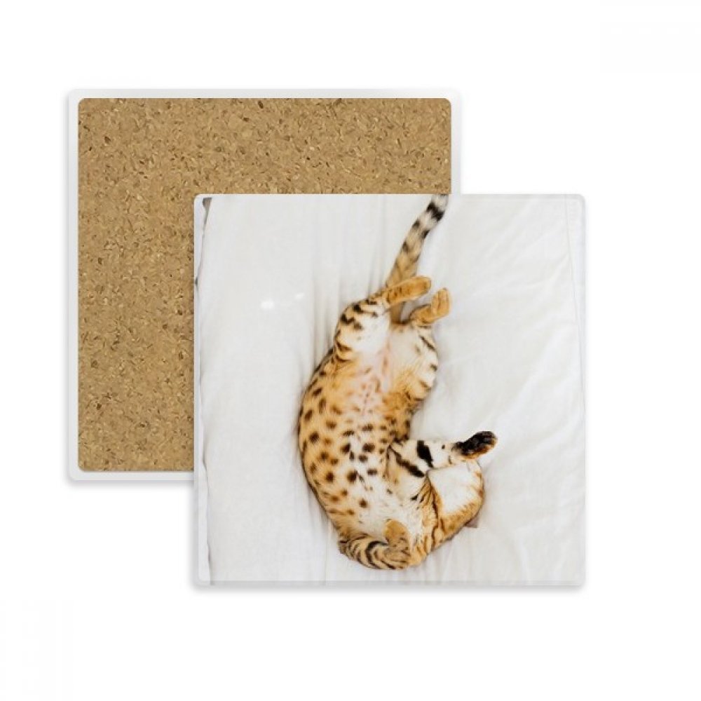 Dessous de verre ocelot carré en pierre absorbante pour tasse et verre