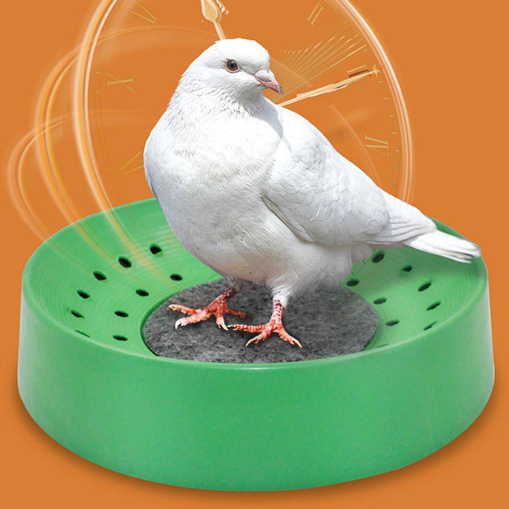 5 Pièces Nids d'oiseaux en Plastique Bol De Nidification d'oiseaux Bol D'élevage D'oeufs D'oiseau Respirant Nid D'élevage De Pigeons avec Tapis pour Colombes Cailles Et Petits Oiseaux