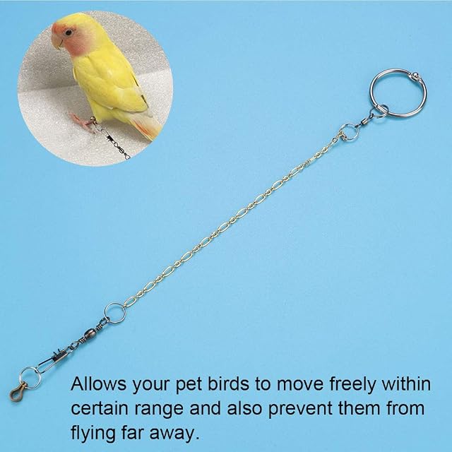 Foto 7 de 8 de Sheens Cadena de pie de pájaro de Acero Inoxidable con Anillo Accesorios de Anillo de pie de Tobillo Parrot…