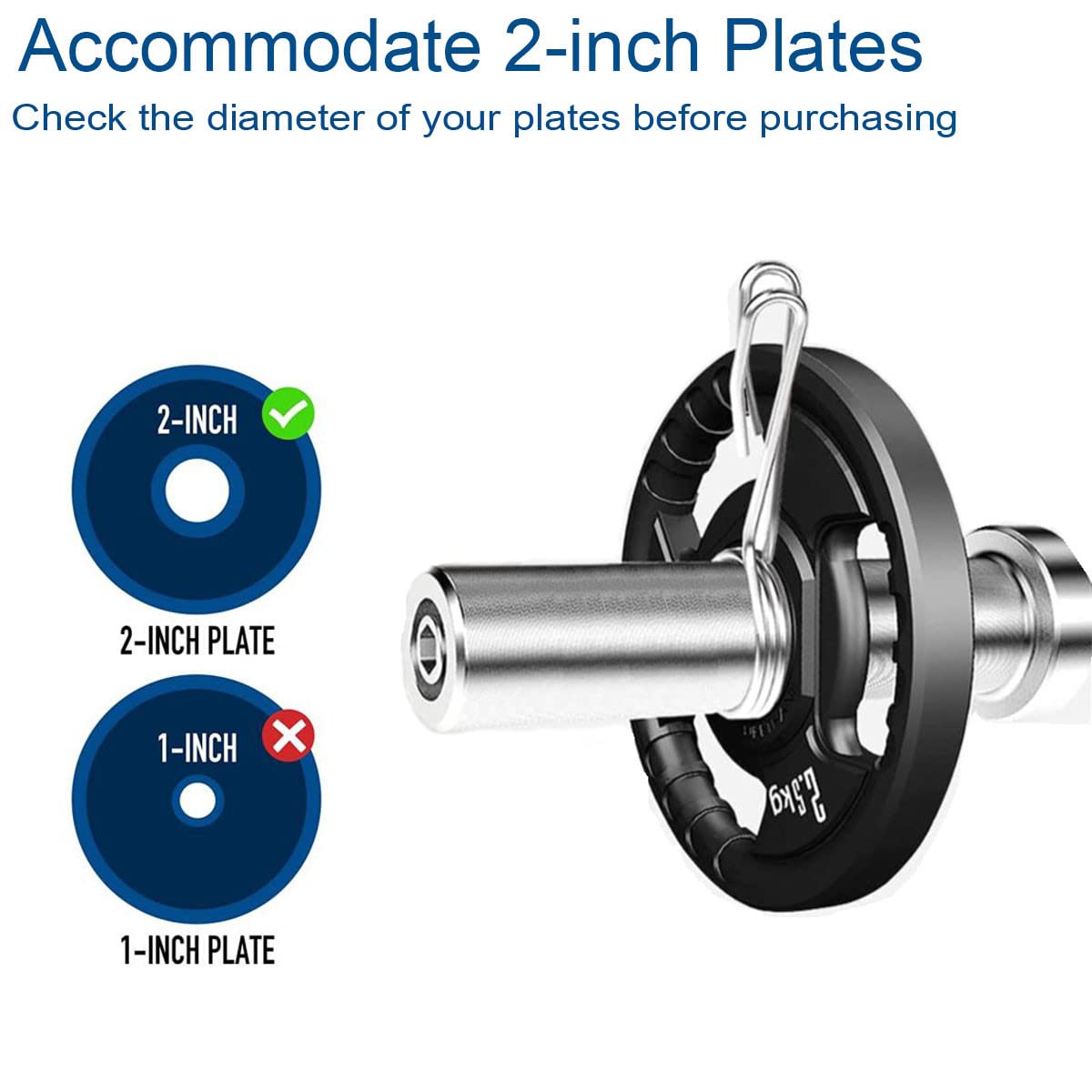 Olympic curl bar weight