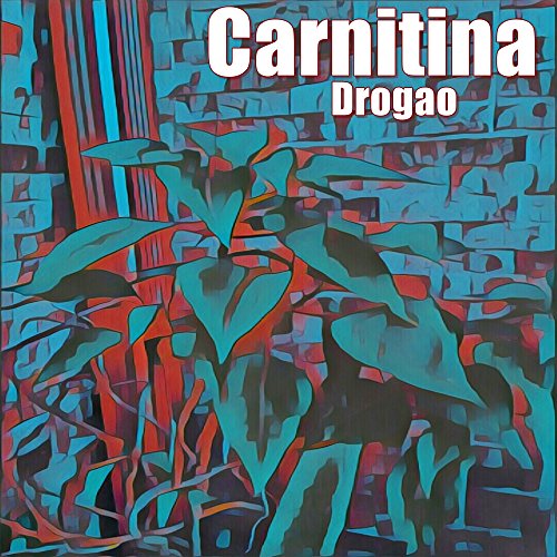 Carnitina