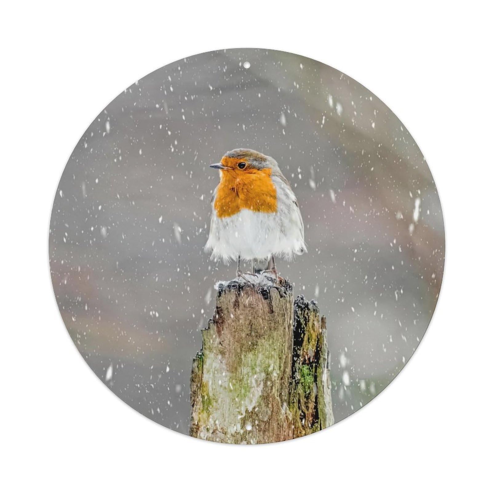 Cwbufd Vintage Style Animal European Robin In Winter Snow Scene With Tree Stump Realistic Wildlife Nordic Style Vintage Metal Tin Sign Plaque Wall Decor For Cafe, Club Bar, Office, Garden Metal Poster 8X8inch