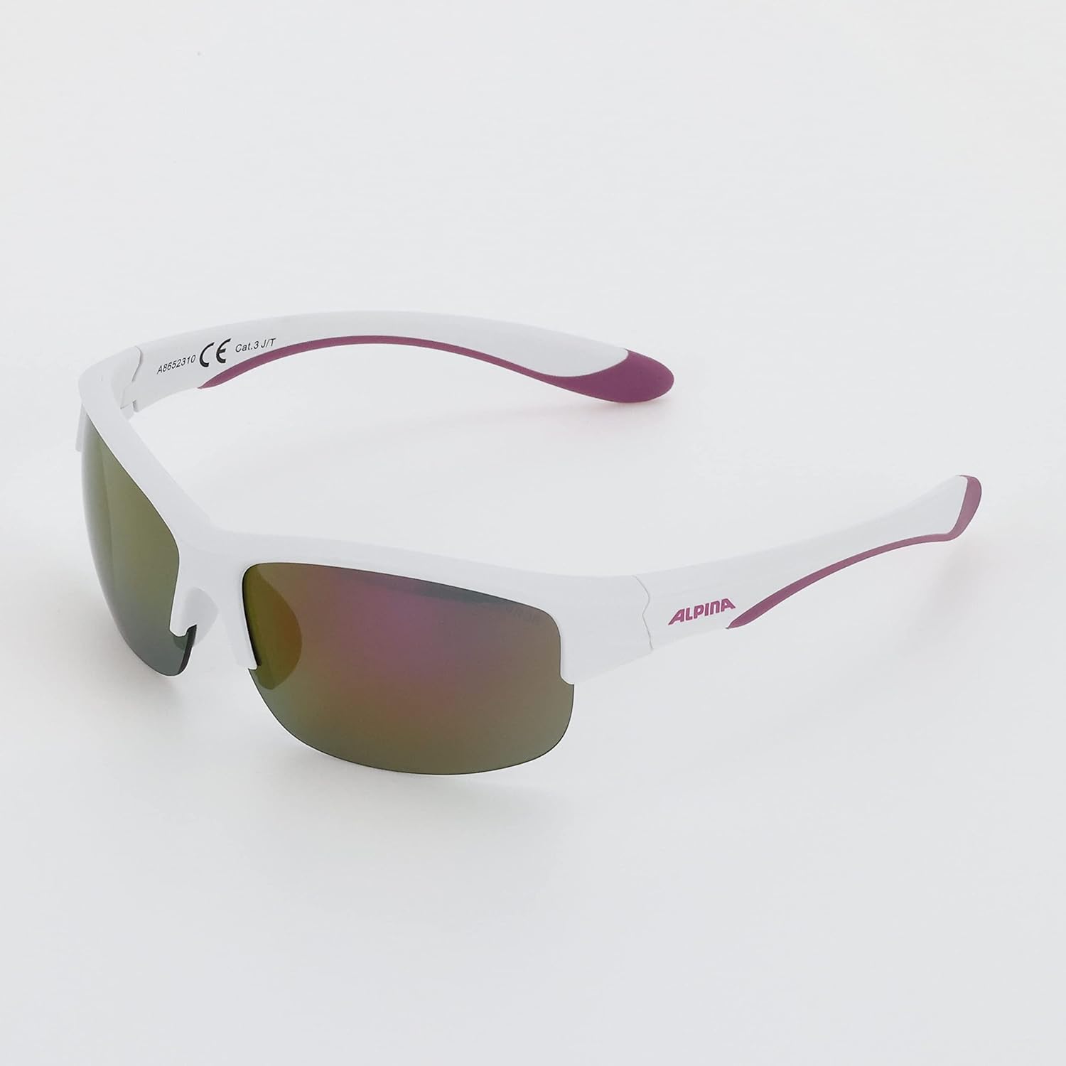 ALPINA Protection Sunglasses