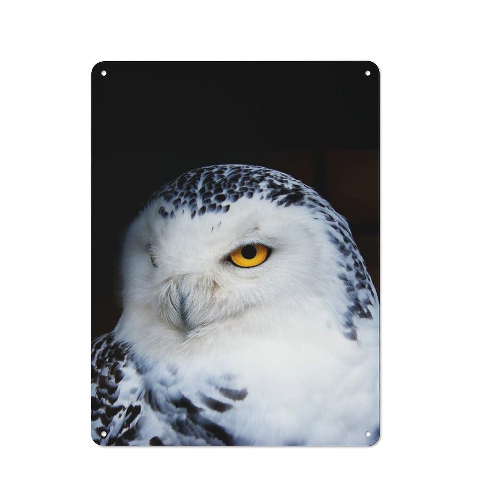 Junmoney Style-8 Vintage Metal Plaque 40X30cm Featuring Wild Owl Face Poster For Home Bar Wall, A Metal Wall Feature For Home Bars And Entertaining Spaces