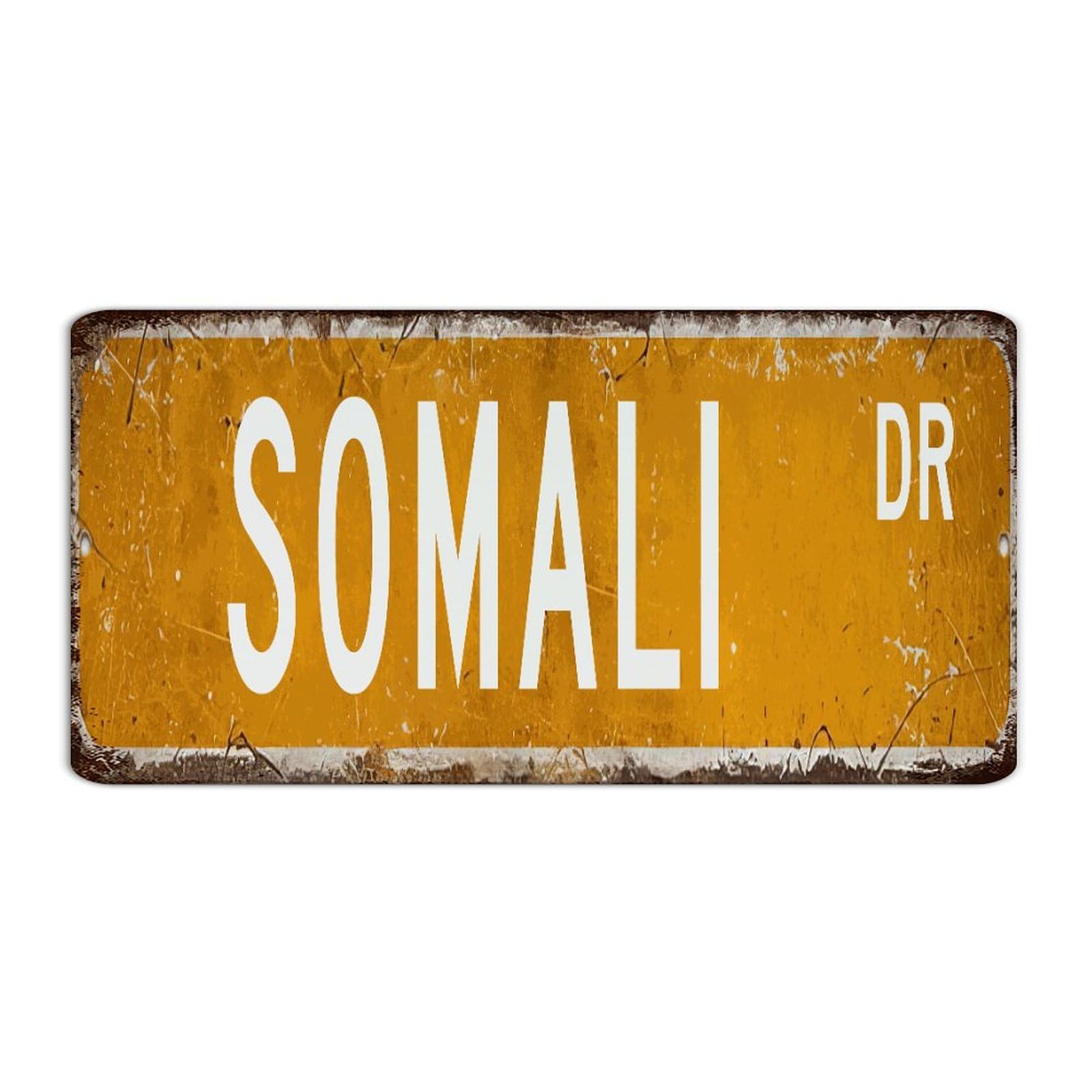 Autravelco Style-4 Farmhouse Metal Sign Somali Man Cave Decor Metal Plaque For Patio Terrace Backyard Road Pet Sign For Moms Art Poster Gift For Bathroom 6X12 Inch