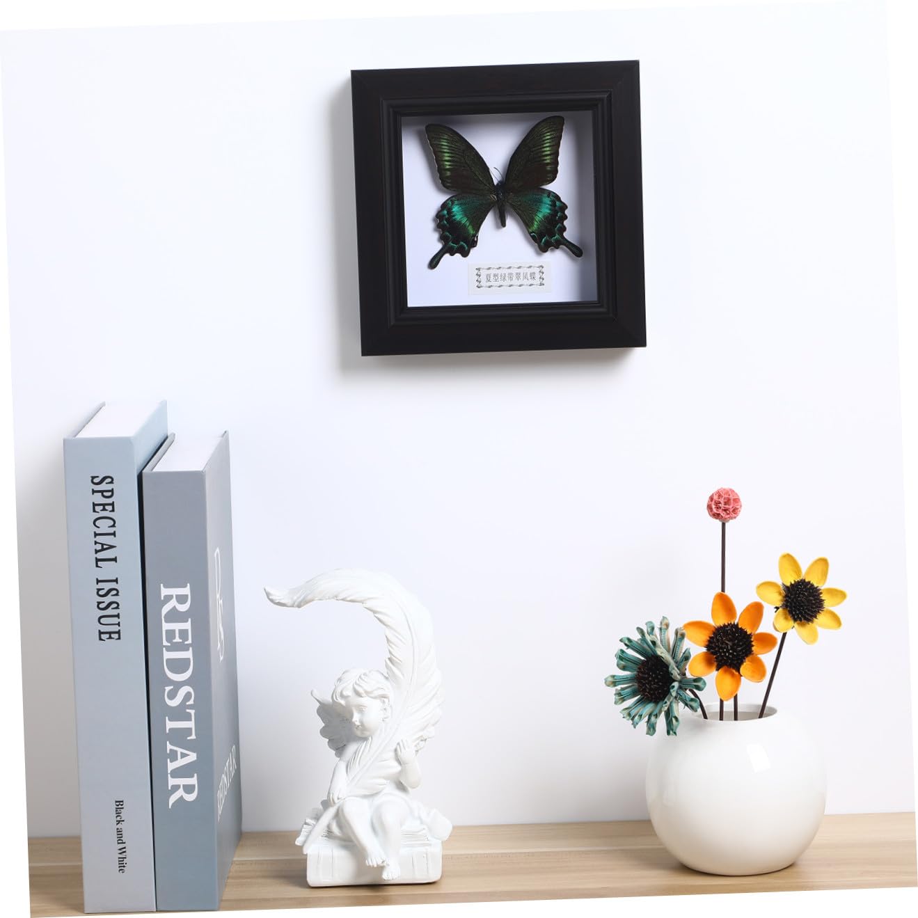 STOBAZA Marco de Exhibición DIY de Mariposa Simulada, Negro, Acrílico