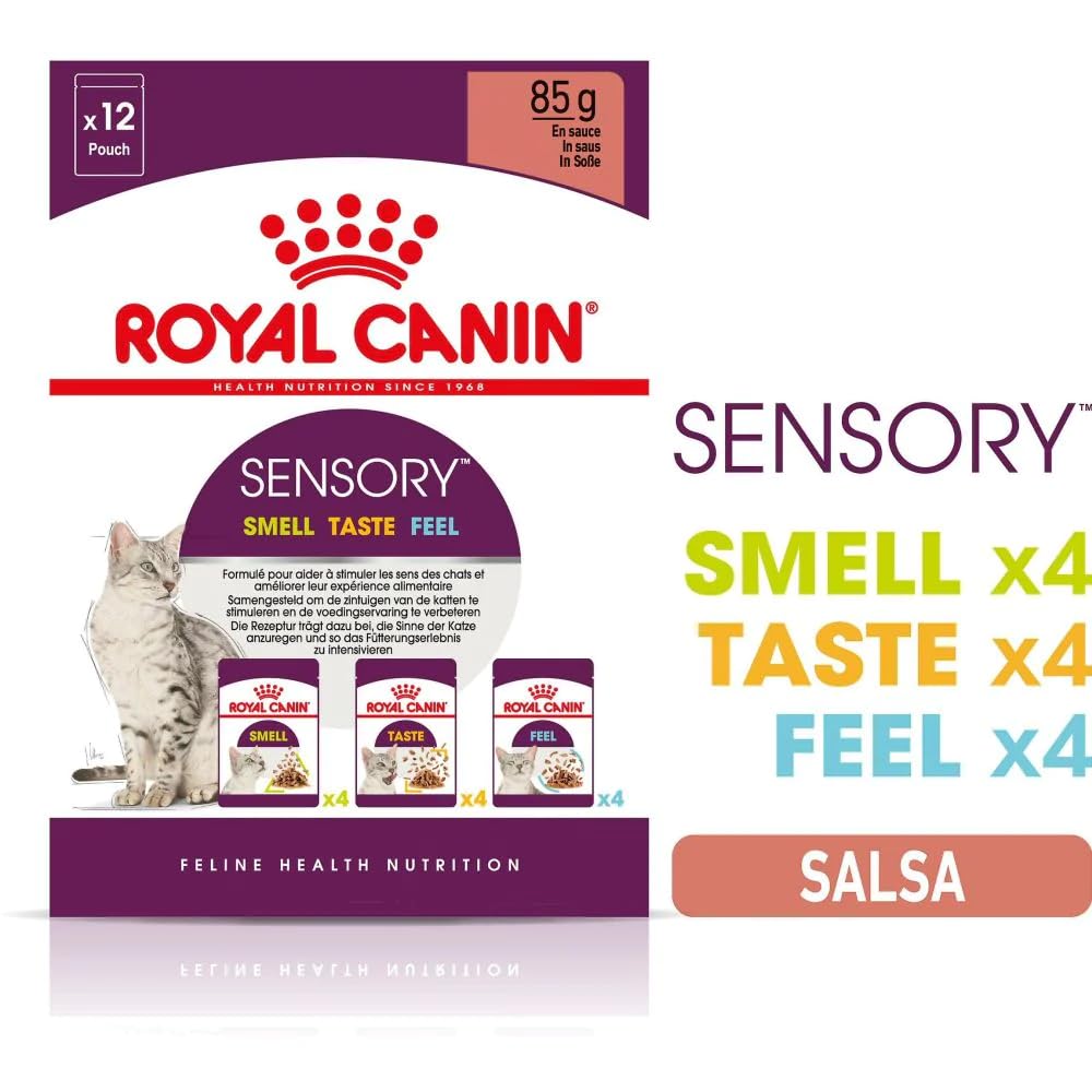 Royal Canin Sensory Smell Taste Feel mokra karma, opakowanie multipack w sosie dla wybranych kotów, 12 x 85 g