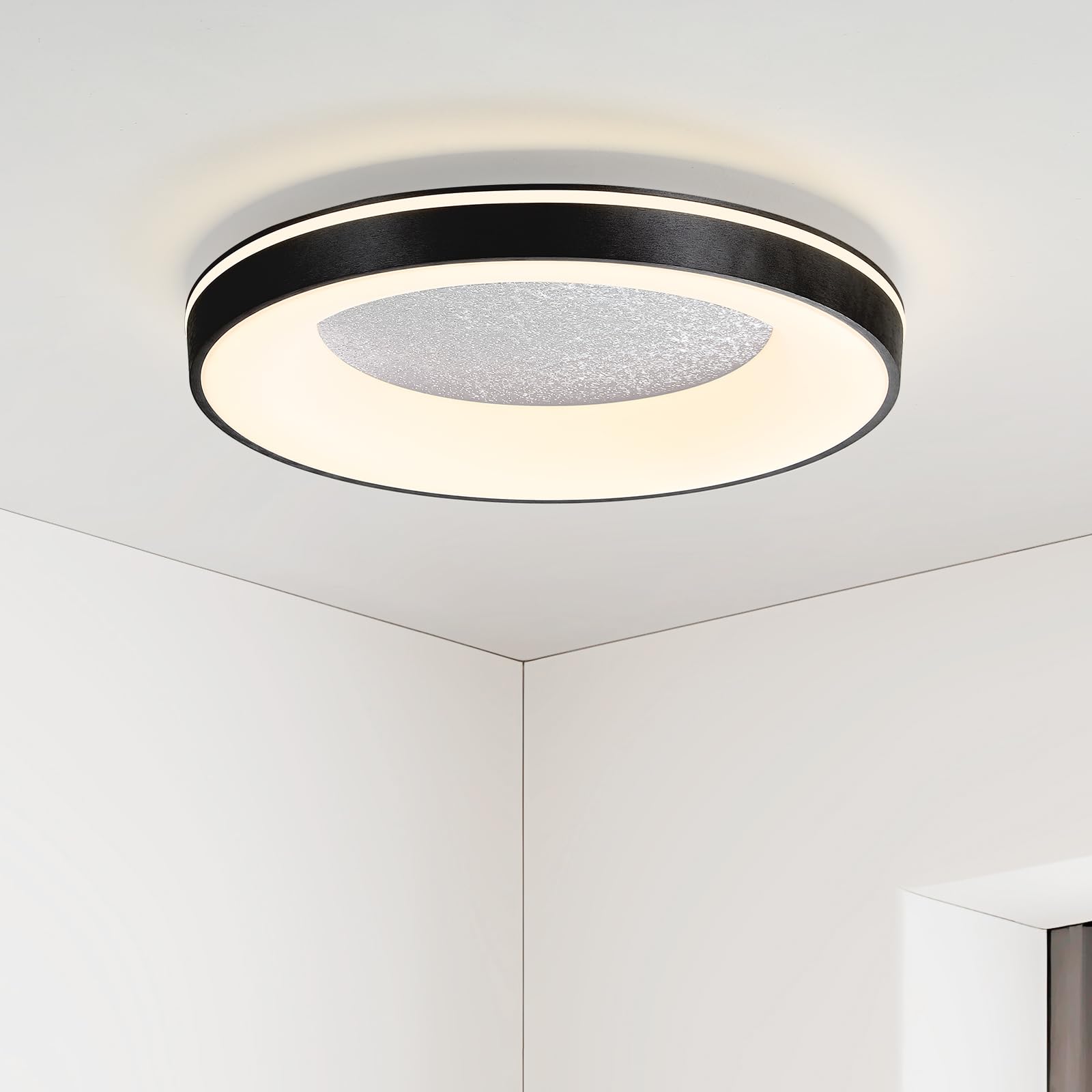 Mikeru 30cm Round Ceiling Light with Remote Control Dimmable 3000K/4500K/6500K Black Ceiling Light, Brightness 10%-100% Adjustable, LED Recessed Lamp for Dining Room, Bedroom, Balcony — image 1