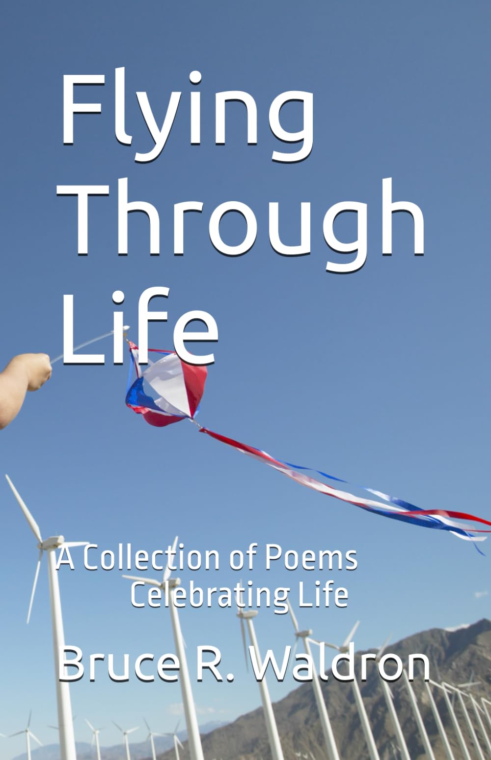 Flying Through Life: A Collection of Poems Celebrating Life