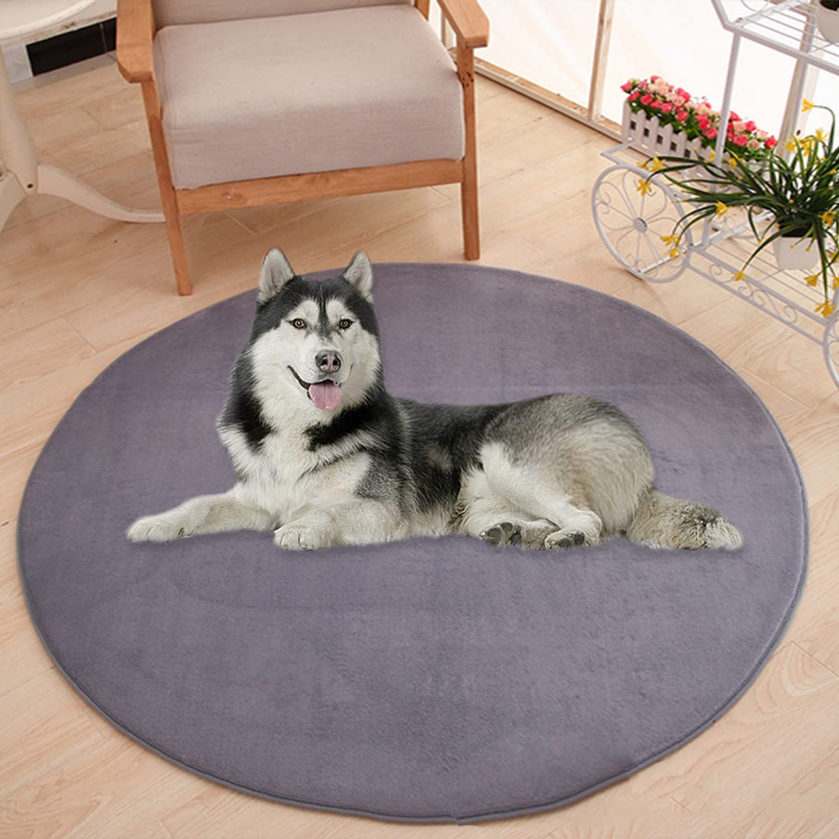 Waigg Kii Large Dog Bed Mat,Coral Velvet Soft Round Carpet Area Rug Pet Mat,Anti-Anxiety Dog Mattress for Small Medium Large Cats Dogs (60CM,Grey) — image 1