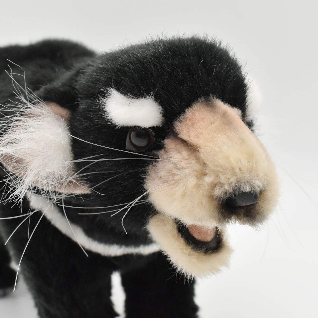 タスマニアタイガーのぬいぐるみ Amazon.co.jp: Attatoy タスマニアタイガーぬいぐるみ 大型 先史時代の