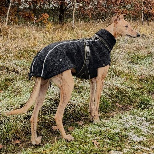 EDEL&SCHNELL Hundemantel wasserdicht, Woll-Wintermantel für Ridgebacks, Dalmatiner, Weimaraner und andere schlanke Rassen, Hunde Wintermantel Größe 70-75