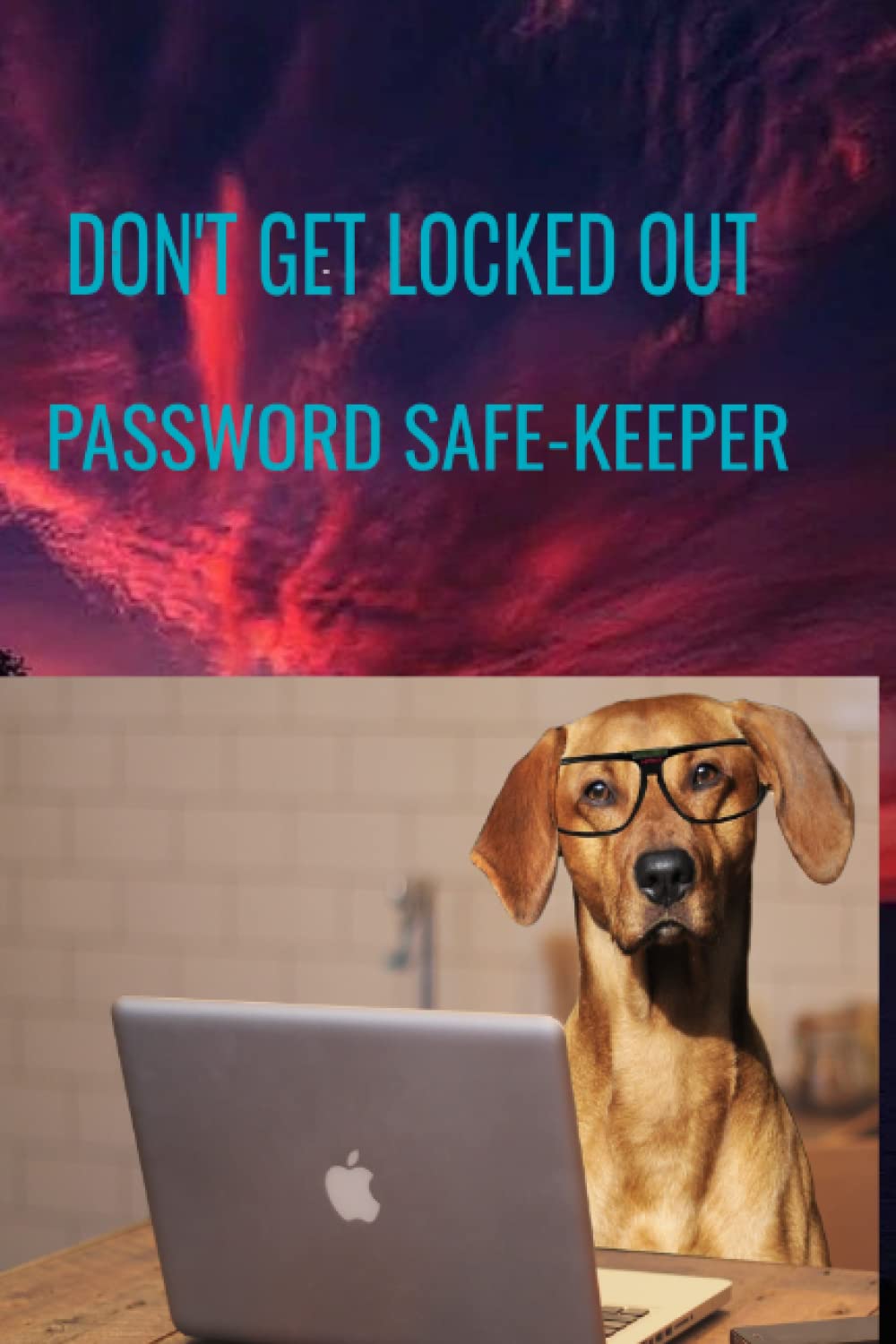 DON'T GET LOCKED OUT PASSWORD SAFE-KEEPER: Password book
