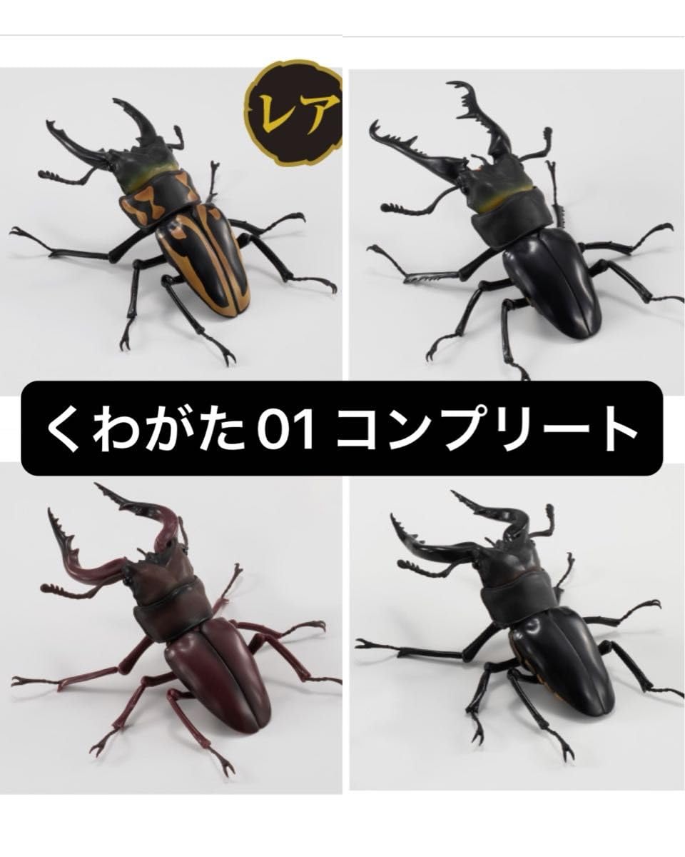 Amazon.co.jp: コンプリートセット いきもの大図鑑くわがた01 ギラファ