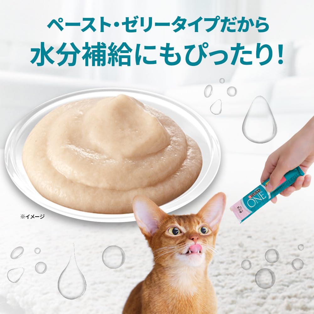 Amazon.co.jp: ピュリナワン おやつ 健康免疫サポート 免疫ケア