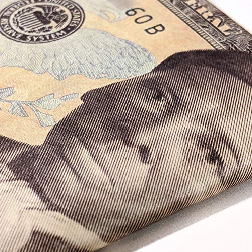 mighty wallet Tubman $203