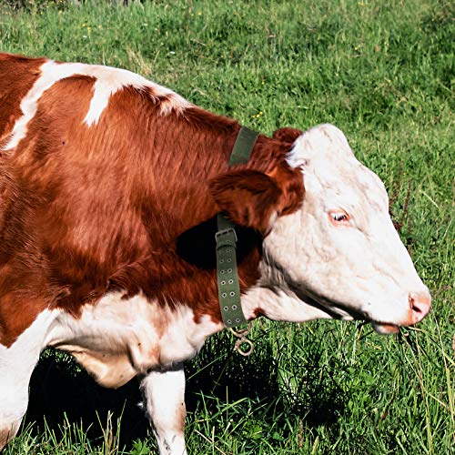 Angoily Colarinho Vaca Bezerro Ovelhas para O Pescoço Do Cavalo Gado Pecuária Alimentação (Verde)