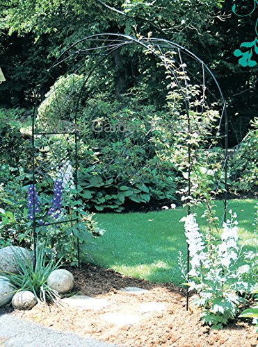 Kinsman Arch – Heavy Duty Steel Garden Arch with Free Lattice Infill, 213cm High x 152cm Wide, Outdoor Climbing Plant Support for Roses, Jasmine, Clematis – UK Made