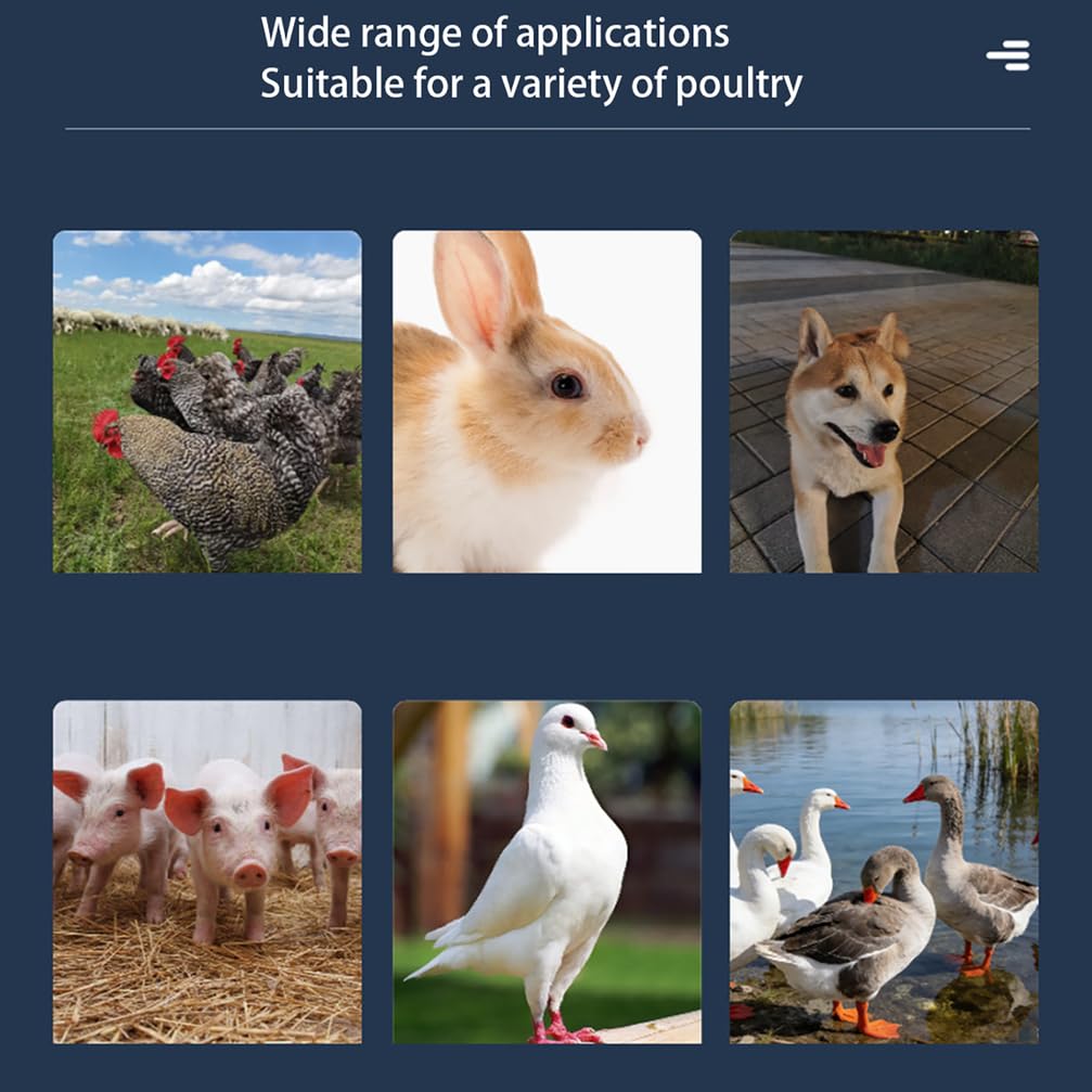 Equipo automático de alimentación de aves de corral, accesorios de acero inoxidable con válvula flotante, para pollos, patos, gansos