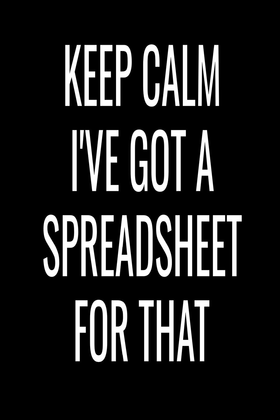 Keep Calm I've Got A Spreadsheet For That: Accountant Notebook