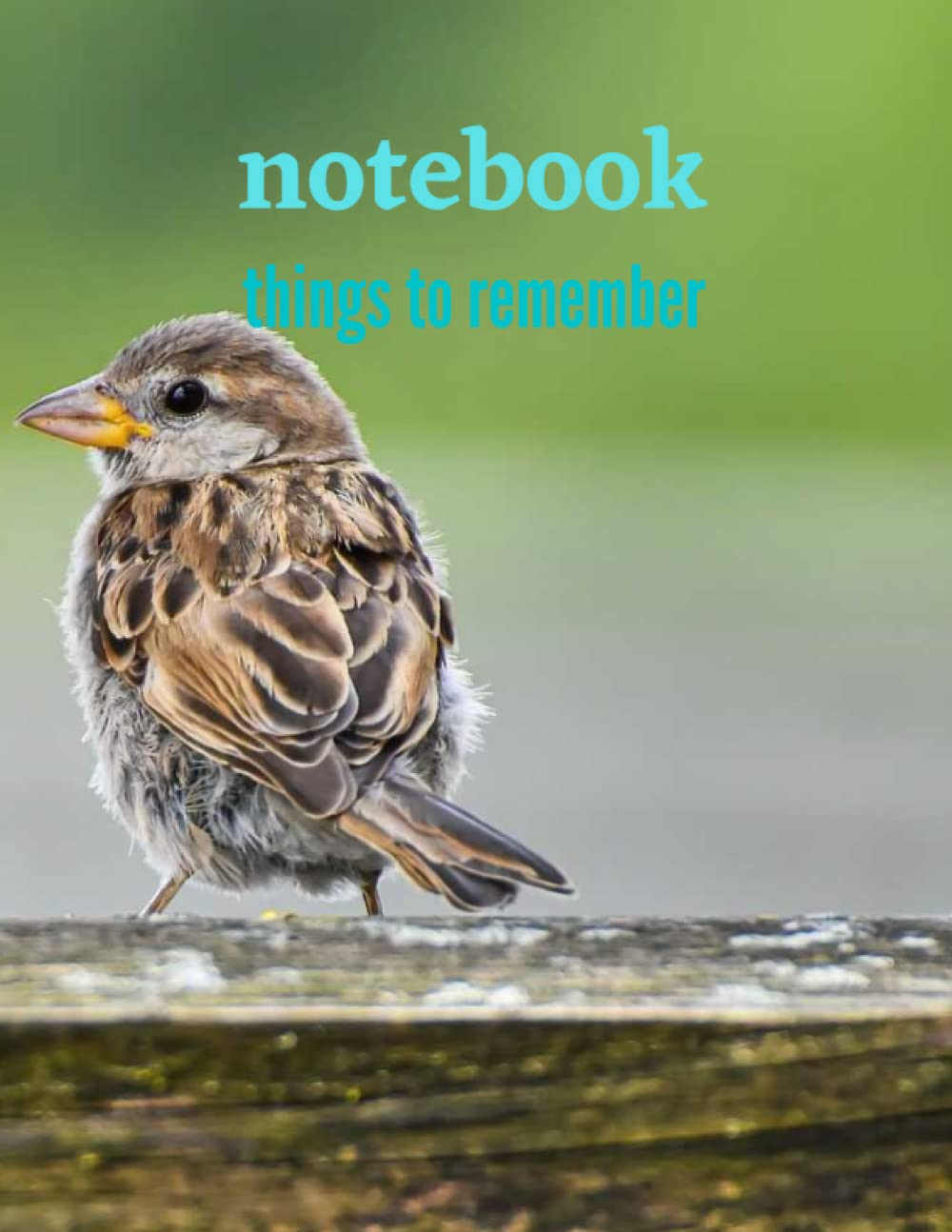 Illustrated Sparrow Notebook Journal Gift Idea For Bird Lovers