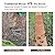 i frmmy Garden Pathway Walkway, PS Wood Outdoor Easy Roll-Out Path, PS Wooden Rollout (8'L x 18" W)