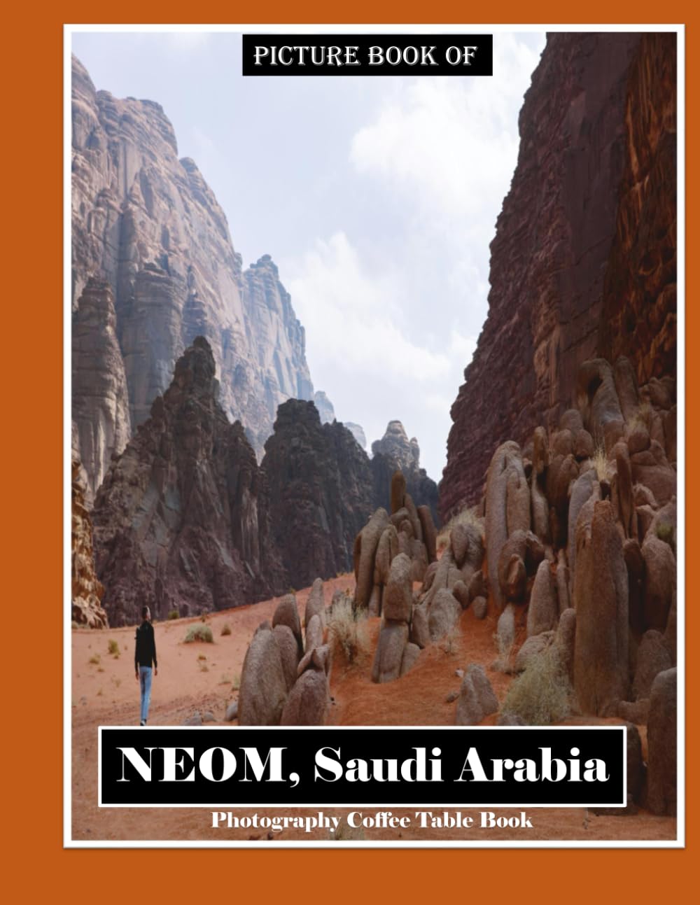 NEOM, Saudi Arabia: Saudi Arabia's Visionary City of the Future
