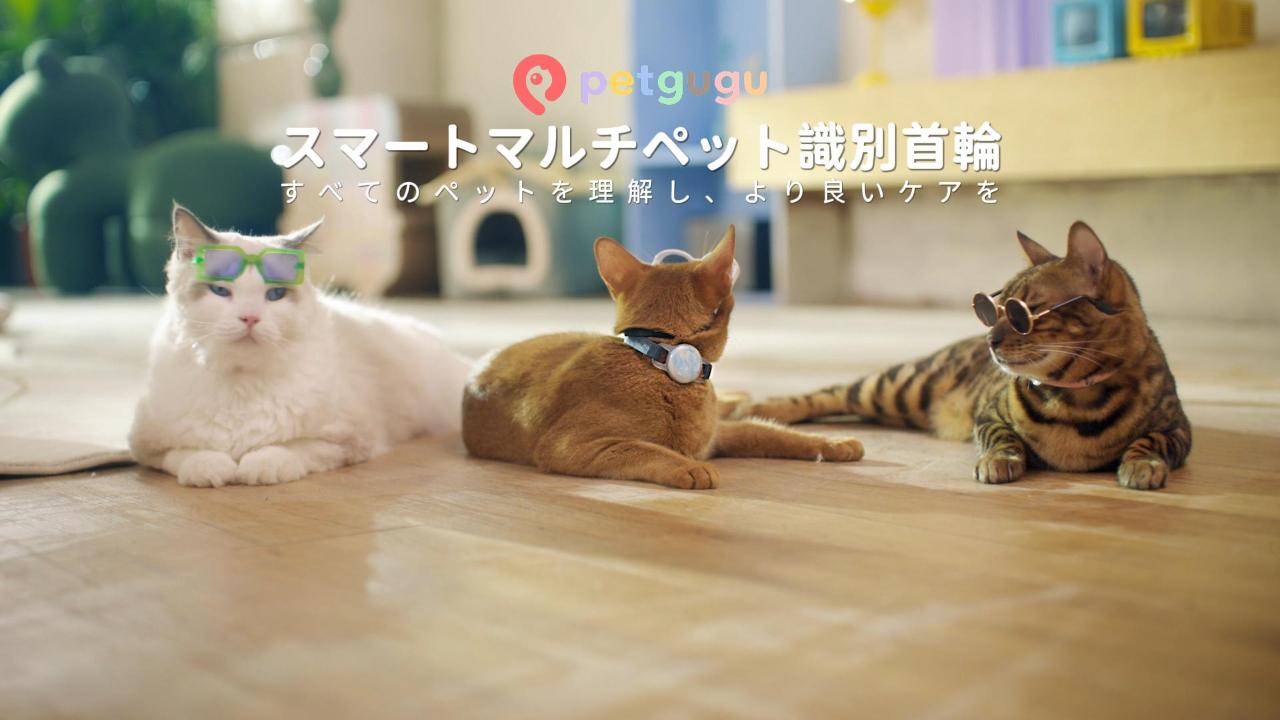 Amazon | PETGUGU 自動給餌器 猫 カメラ付き 3.5L大容量 定時