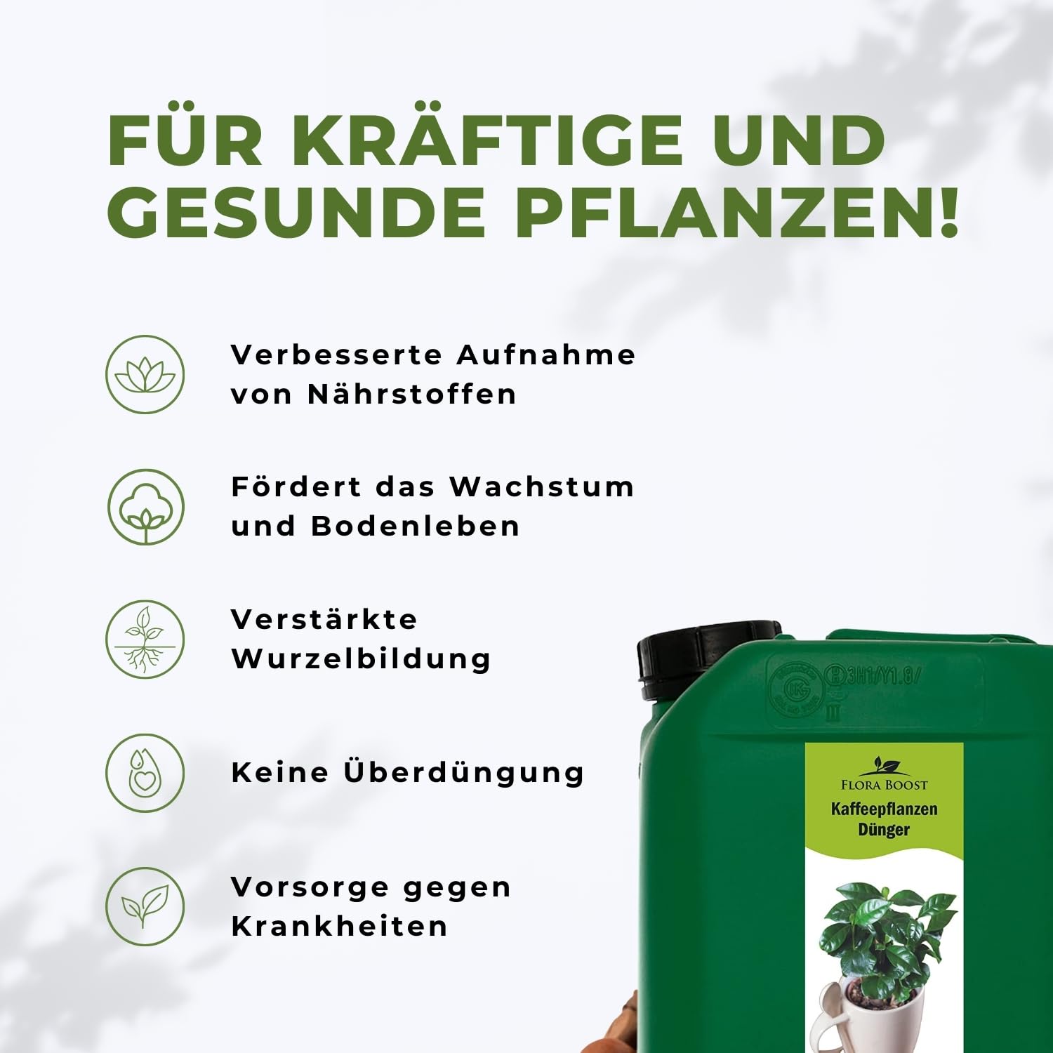 Konfitee Kaffee Pflanzen Dünger Flora Boost 5000ml I Für bis zu 1000L Gießwasser I Dünger für Kaffeesträucher I Flüssiger Blatt- & Wurzeldünger I 100% natürlicher Pflanzendünger