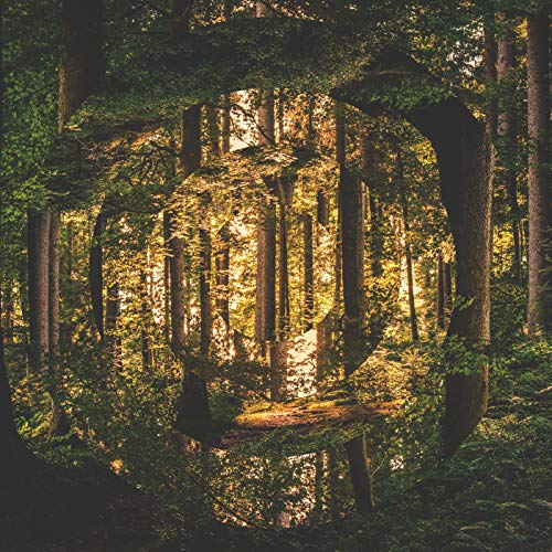 I’m With Her feat. Sara Watkins, Sarah Jarosz & Aoife O'Donovan