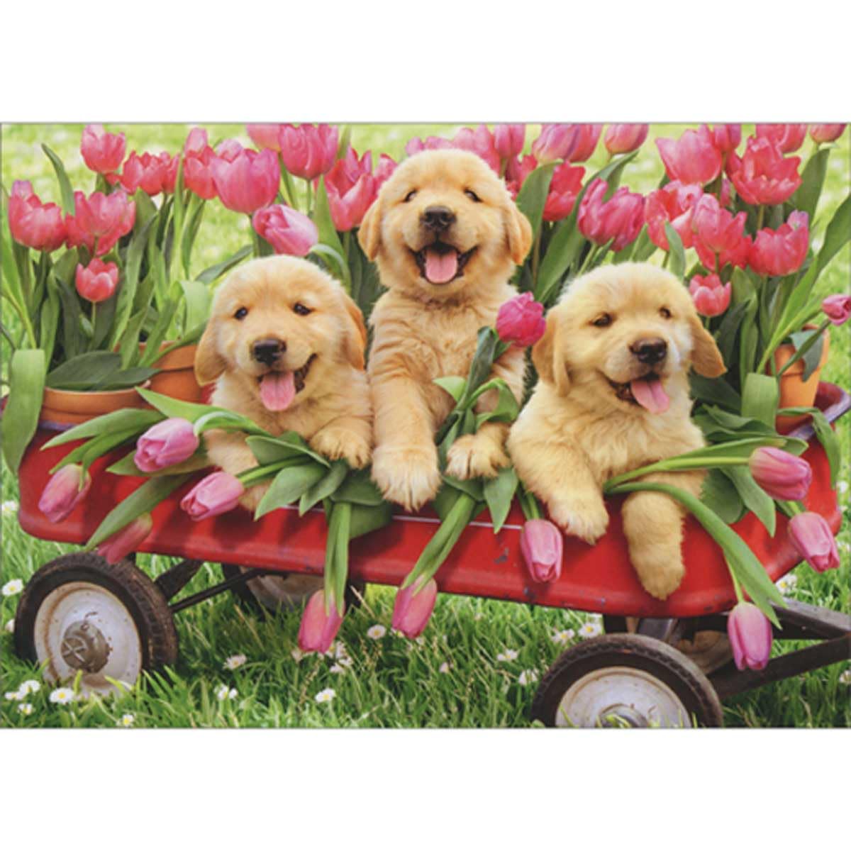 Avanti Press Puppy Trio in Red Wagon with Loose and Potted Pink Flowers Cute Thank You Card