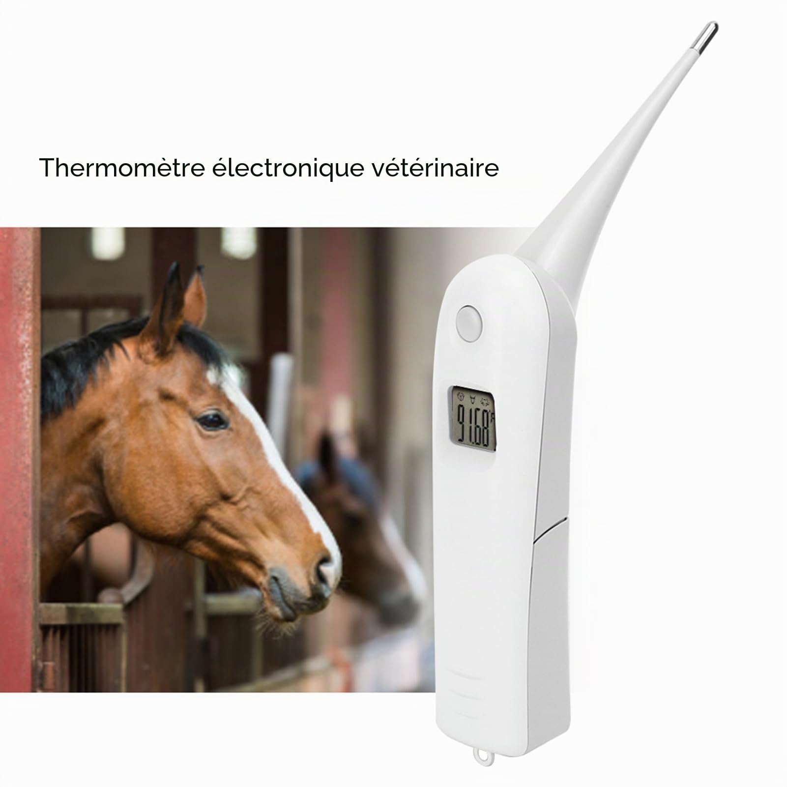 Thermomètre vétérinaire numérique Thermomètre Anus, Thermomètre Vétérinaire Numérique Rapide, Testeur de Température pour Bétail pour porcs bovins chiens de berger, cheval (sans batterie)