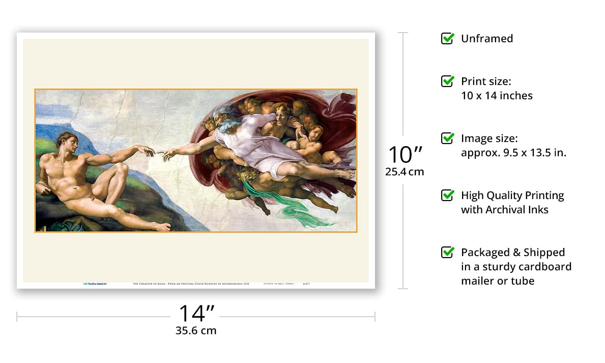 Amazon.com: The Creation of Adam (The Creation of Man) - From an