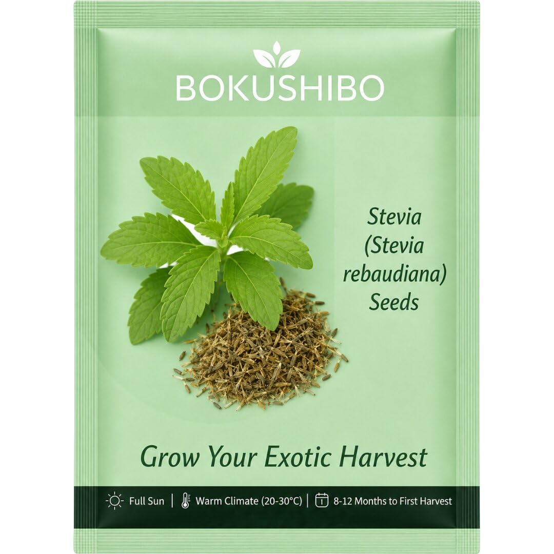 Stevia Seeds (Stevia rebaudiana) for Home Garden (1000 mg) | Meethi Tulsi Sweetleaf Herb Seeds-image-13