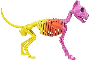 Ashland 19.7" Halloween Pink, Orange & Yellow Skeleton Cat